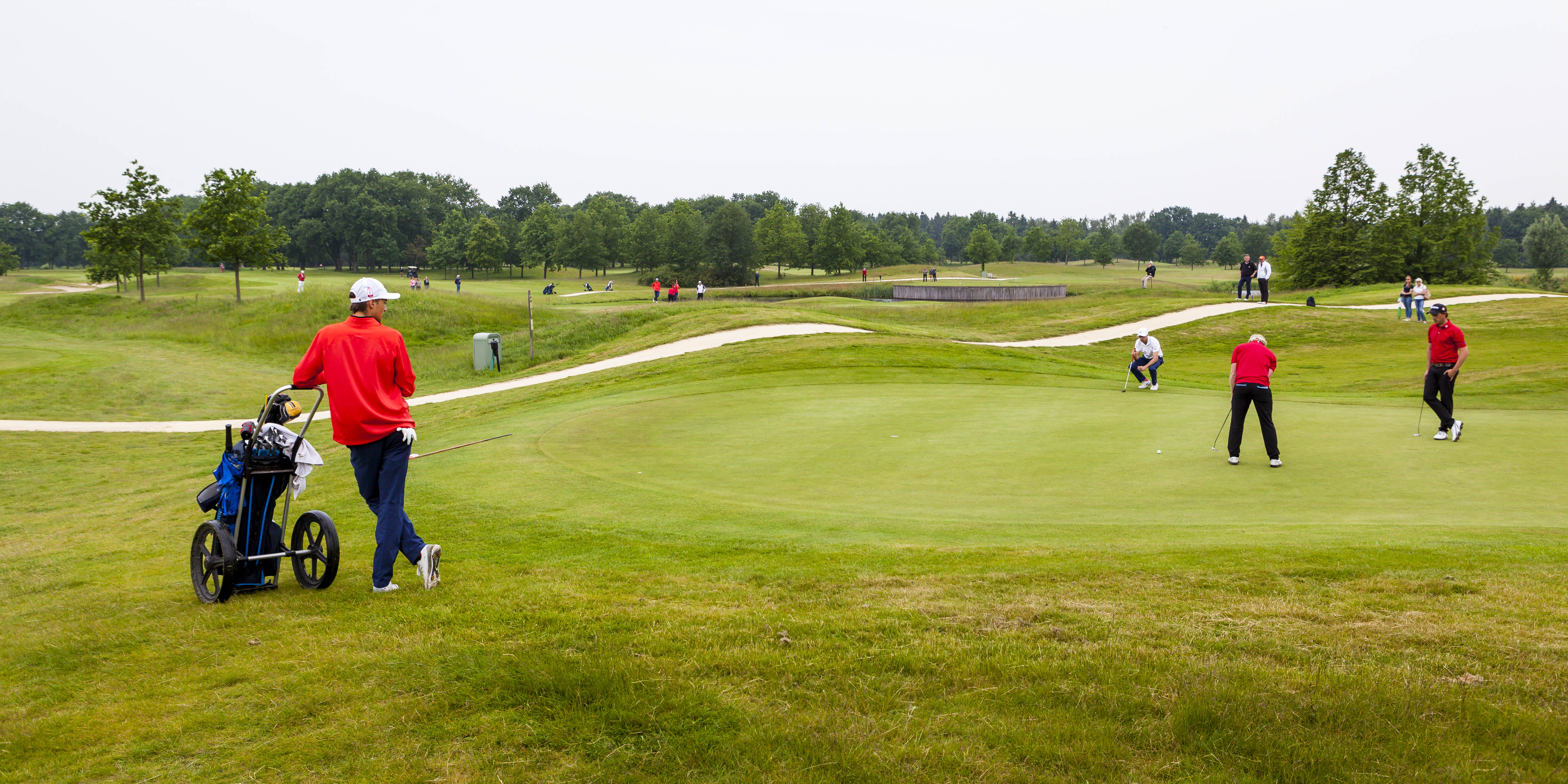 De pouleindeling van de NGF Competitie • Golf.nl